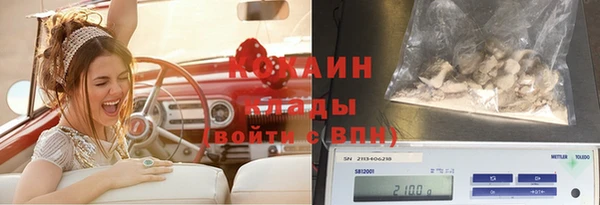 соль курить ск Белокуриха
